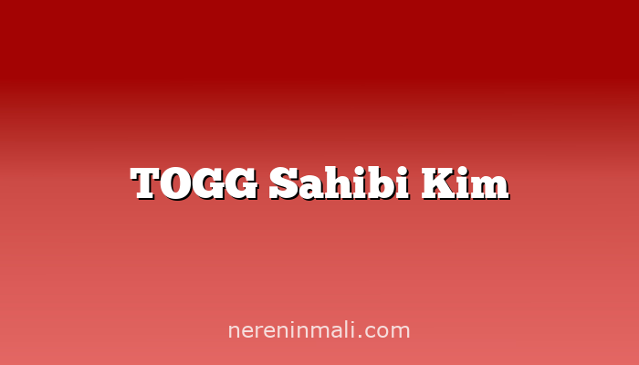 TOGG Sahibi Kim