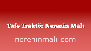 Tafe Traktör Nerenin Malı