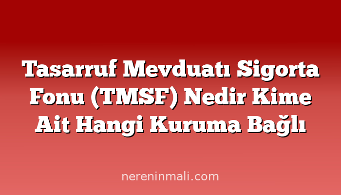 Tasarruf Mevduatı Sigorta Fonu (TMSF) Nedir Kime Ait Hangi Kuruma Bağlı