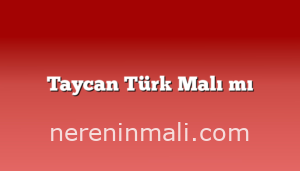 Taycan Türk Malı mı