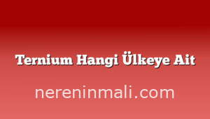 Ternium Hangi Ülkeye Ait