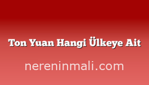 Ton Yuan Hangi Ülkeye Ait