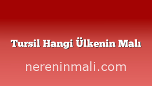 Tursil Hangi Ülkenin Malı