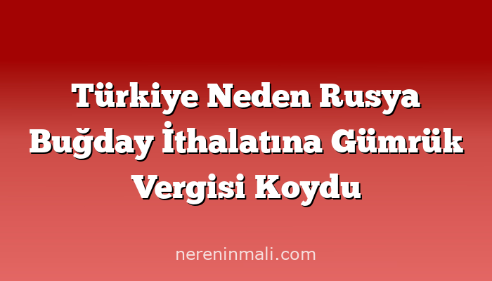 Türkiye Neden Rusya Buğday İthalatına Gümrük Vergisi Koydu