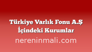 Türkiye Varlık Fonu A.Ş İçindeki Kurumlar