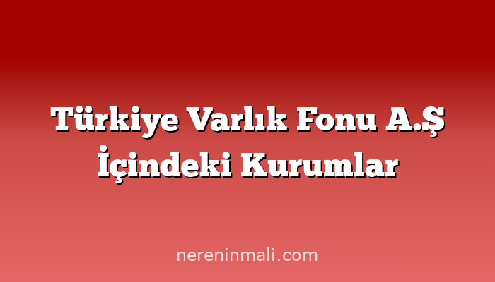 Türkiye Varlık Fonu A.Ş İçindeki Kurumlar