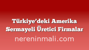 Türkiye’deki Amerika Sermayeli Üretici Firmalar