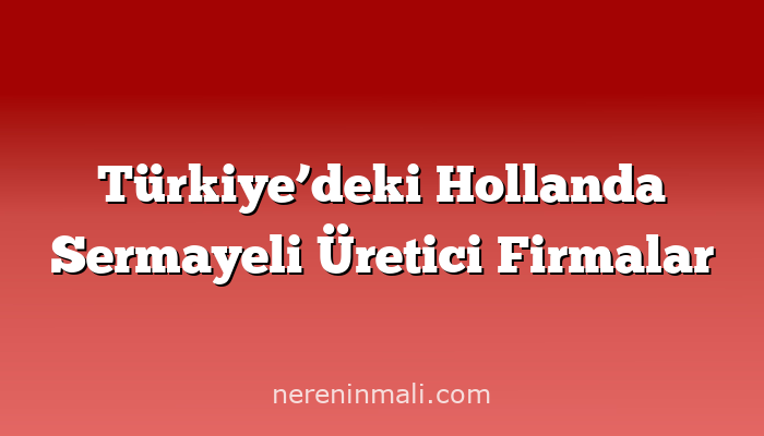 Türkiye’deki Hollanda Sermayeli Üretici Firmalar