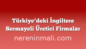 Türkiye’deki İngiltere Sermayeli Üretici Firmalar