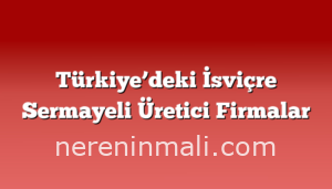 Türkiye’deki İsviçre Sermayeli Üretici Firmalar