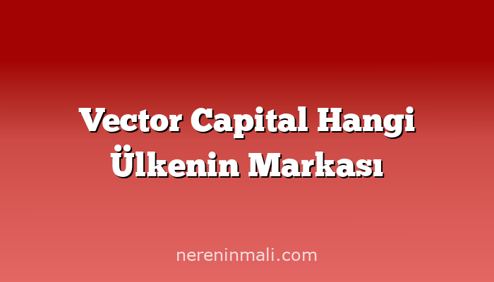 Vector Capital Hangi Ülkenin Markası