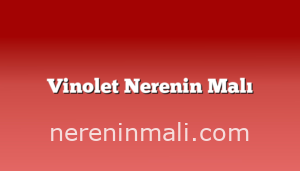 Vinolet Nerenin Malı