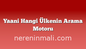 Yaani Hangi Ülkenin Arama Motoru