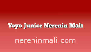 Yoyo Junior Nerenin Malı