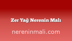 Zer Yağ Nerenin Malı