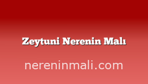 Zeytuni Nerenin Malı