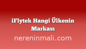 iFlytek Hangi Ülkenin Markası