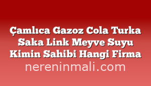 Çamlıca Gazoz Cola Turka Saka Link Meyve Suyu Kimin Sahibi Hangi Firma