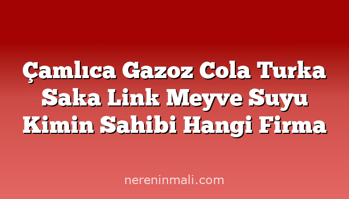 Çamlıca Gazoz Cola Turka Saka Link Meyve Suyu Kimin Sahibi Hangi Firma