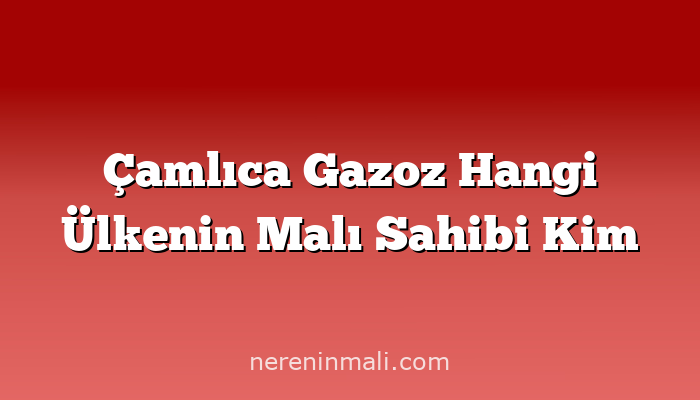 Çamlıca Gazoz Hangi Ülkenin Malı Sahibi Kim