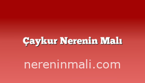 Çaykur Nerenin Malı