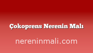 Çokoprens Nerenin Malı