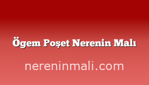 Ögem Poşet Nerenin Malı