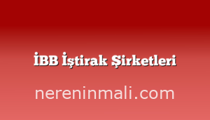 İBB İştirak Şirketleri