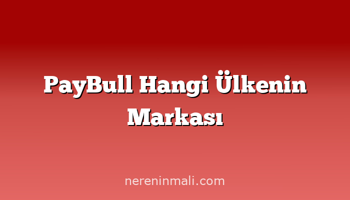 PayBull Hangi Ülkenin Markası