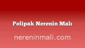 Polipak Nerenin Malı