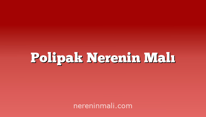 Polipak Nerenin Malı