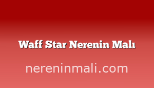 Waff Star Nerenin Malı