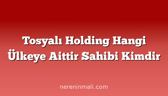 Tosyalı Holding Hangi Ülkeye Aittir Sahibi Kimdir