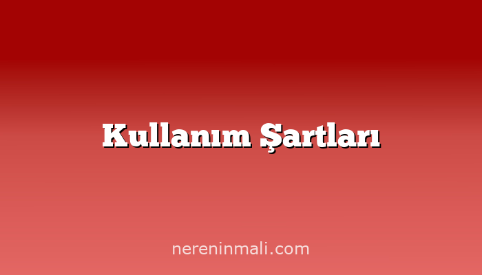 Kullanım Şartları