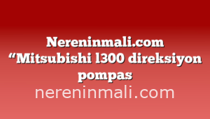 Nereninmali.com “Mitsubishi l300 direksiyon pompas