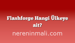 Flashforge Hangi Ülkeye ait?