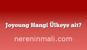 Joyoung Hangi Ülkeye ait?