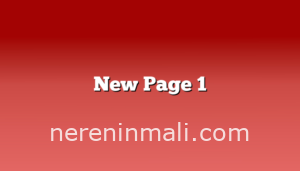 New Page 1