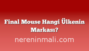 Final Mouse Hangi Ülkenin Markası?